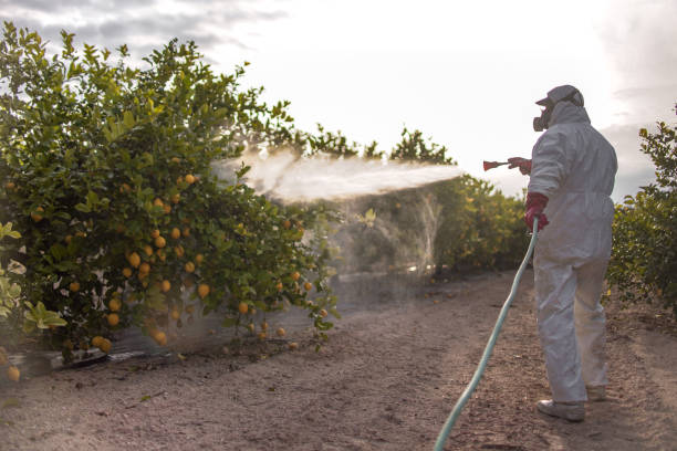 Pest Prevention Services in Stonecrest, GA
