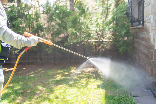 Best Flea Control Services  in Stonecrest, GA