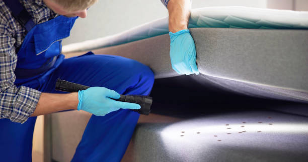 Best Affordable Pest Control Services  in Stonecrest, GA