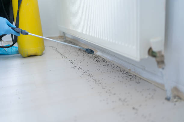 Best Pest Prevention Services  in Stonecrest, GA