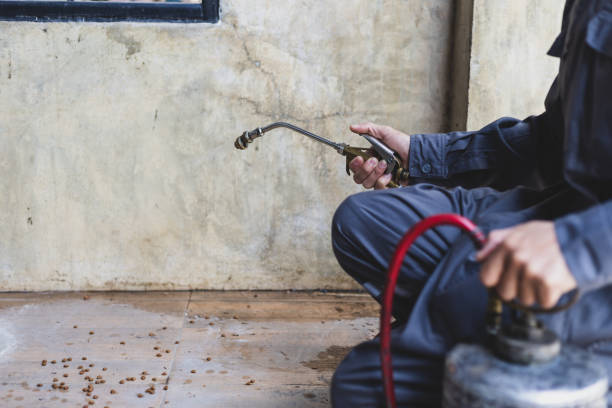 Best Best Pest Control Near Me  in Stonecrest, GA
